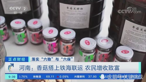 南陽大宗農產品搭上鐵海聯運 助力農民增收致富