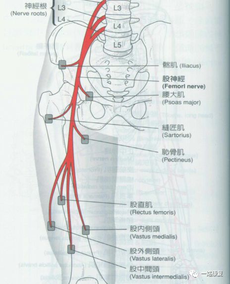 鐵腰板治療儀有沒有效果? - 