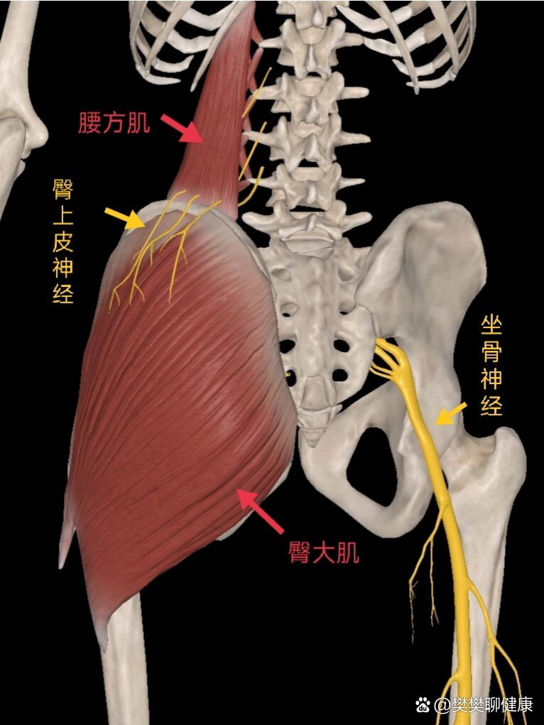 鐵腰板治療儀有沒有效果? - quot; href="https://www.veer.com/photo/168194845?utm_source=baidu&utm_medium=imagesearch&chid=902